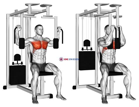 Instructions. Preparation. Sit on machine with back on pad. Grasp handles to both sides, shoulder height. Slightly bend elbows and internally rotate shoulders so elbows are back. Execution. Keeping elbows pointed high, push lever handles forward and together. Return to back toward original position until mild stretch is felt in chest or shoulder.
